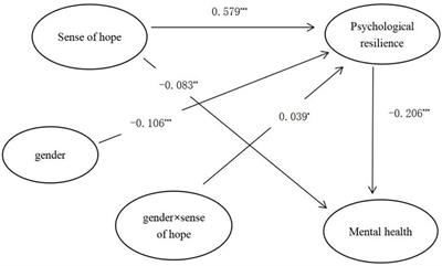 Sense of hope affects secondary school students’ mental health: A moderated mediation model